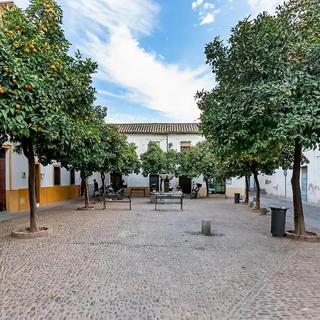 Bhost - Regina Vi Apartment