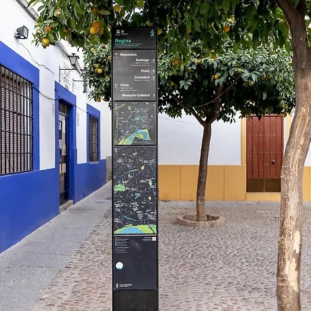 Апартаменти Bhost - Regina Vi Кордова