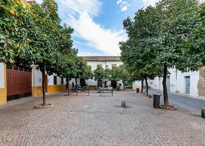 Bhost - Regina Vi Διαμέρισμα