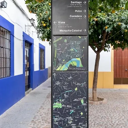 Bhost - Regina Vi Apartman *